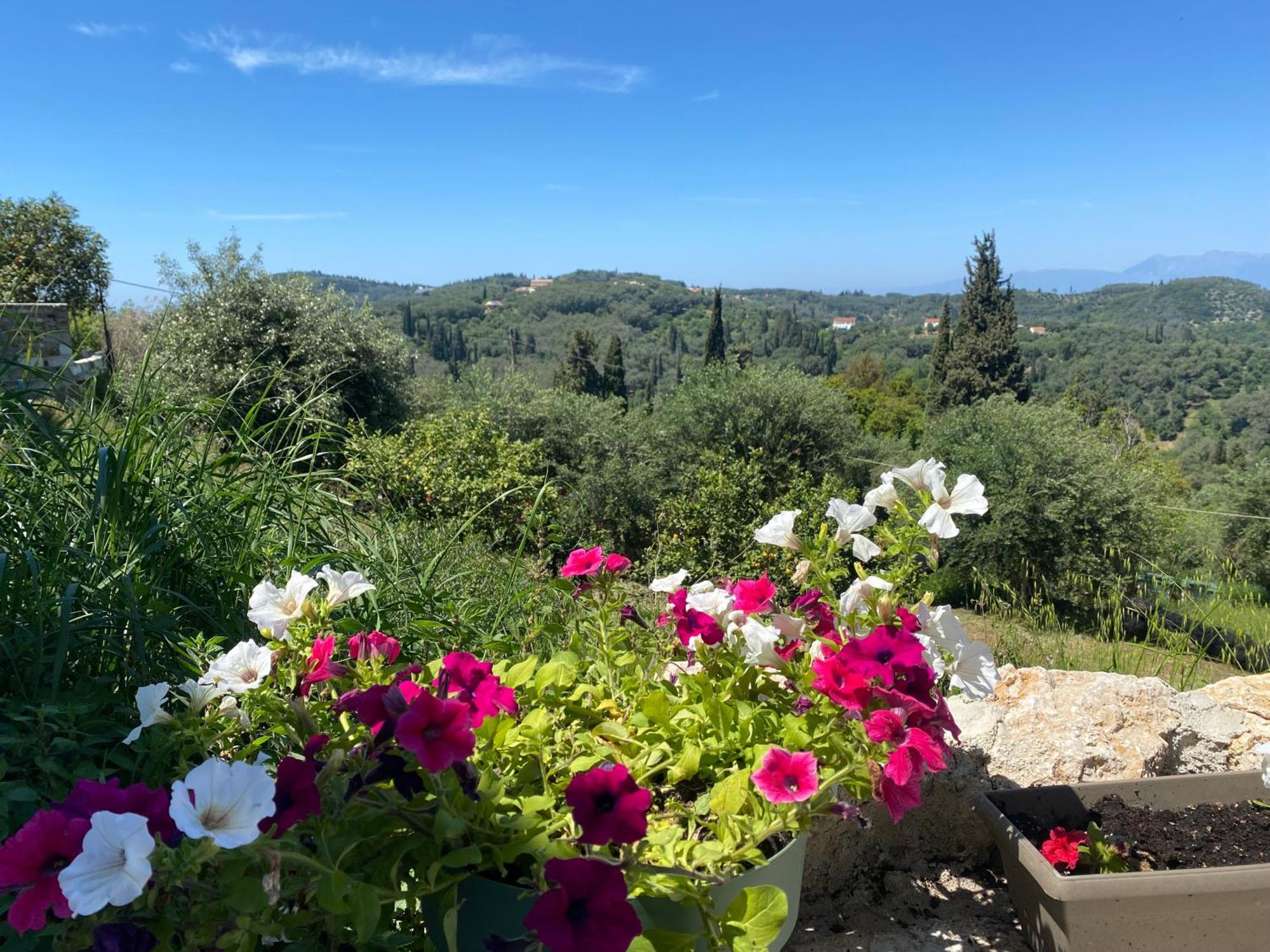 Dinateli Houses - Live Like A Local In Corfu Kastellanoi  Экстерьер фото